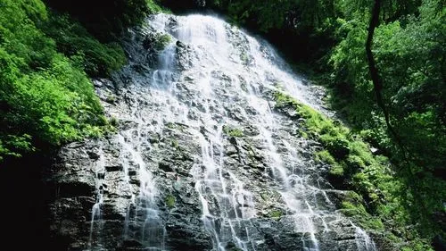 高性能智能化